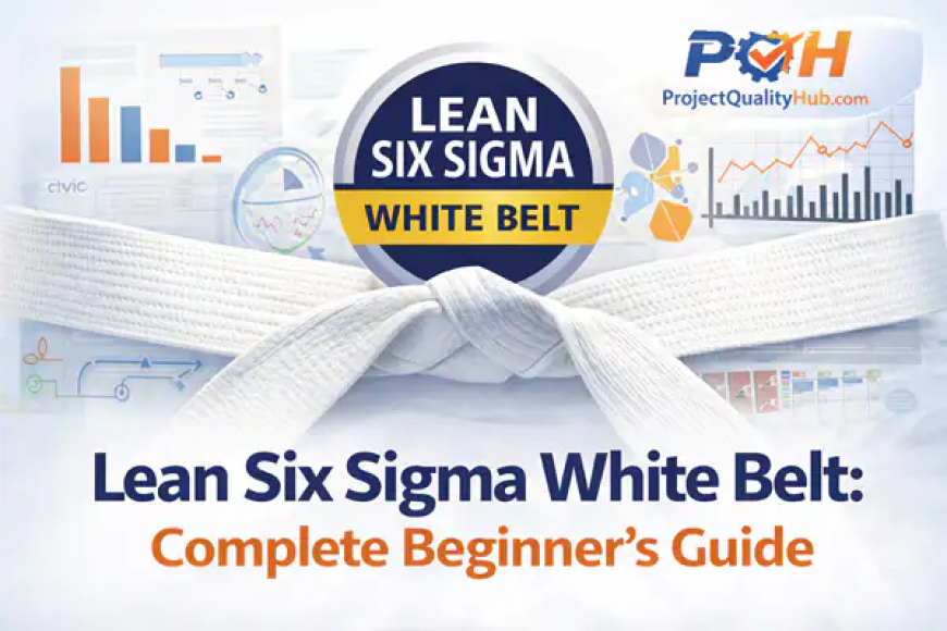 Lean Six Sigma White Belt: Beginner Guide