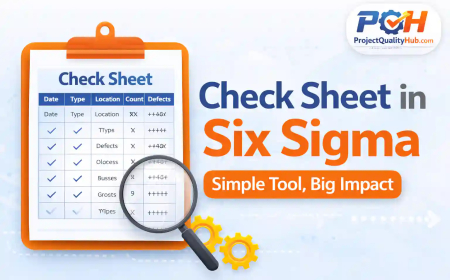 Check Sheet in Six Sigma Explained with Examples