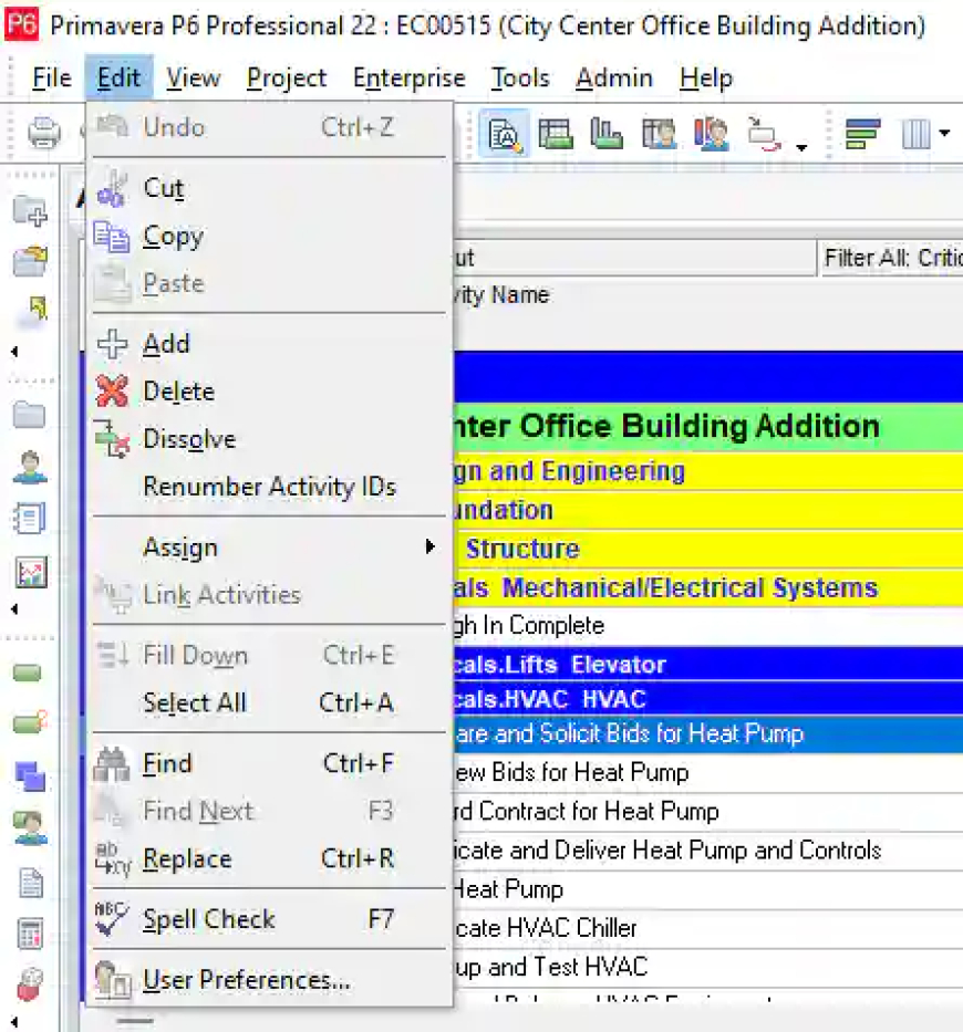 Primavera P6 Edit Menu Explained